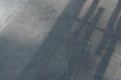 10806268_1699312310295188_3937619545824022447_n