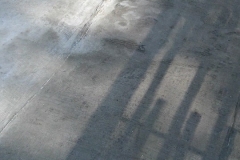 10891479_1694497427443343_6472225390529021789_n