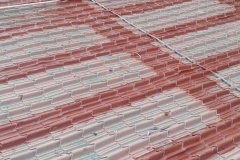 14067526_1976225472603869_1115198435856785621_n