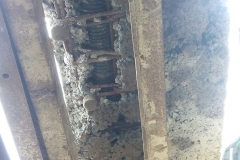 14203269_1977984139094669_938223902297752047_n