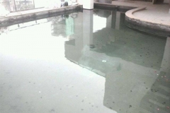 1546228_1716358908590528_6823706926867395642_n