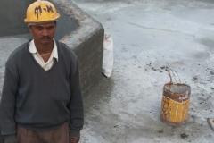 541597_1684034088489677_5232314626994068635_n